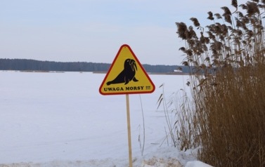 Uwaga Morsy