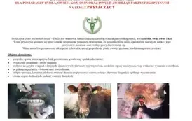 Ulotka str 1