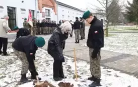 17. Sadzenie dęb&oacute;w pamięci.