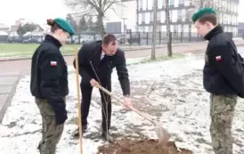 13. Sadzenie dęb&oacute;w pamięci.