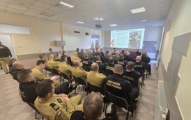 2. Narada roczna PSP