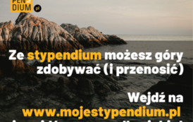Grafika Moje Stypendium