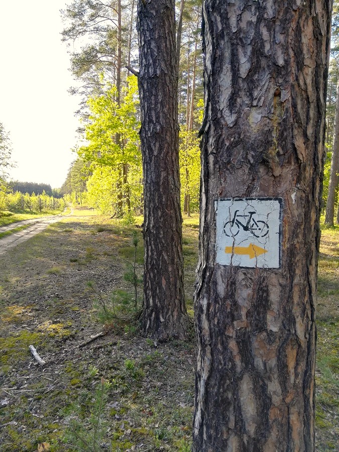 Znak na szlaku rowerowym