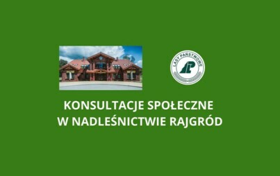 Zdjęcie do Konsultacje społeczne w Nadleśnictwie Rajgr&oacute;d